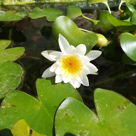 Giardino Farina Санта-Кроче- Камерина